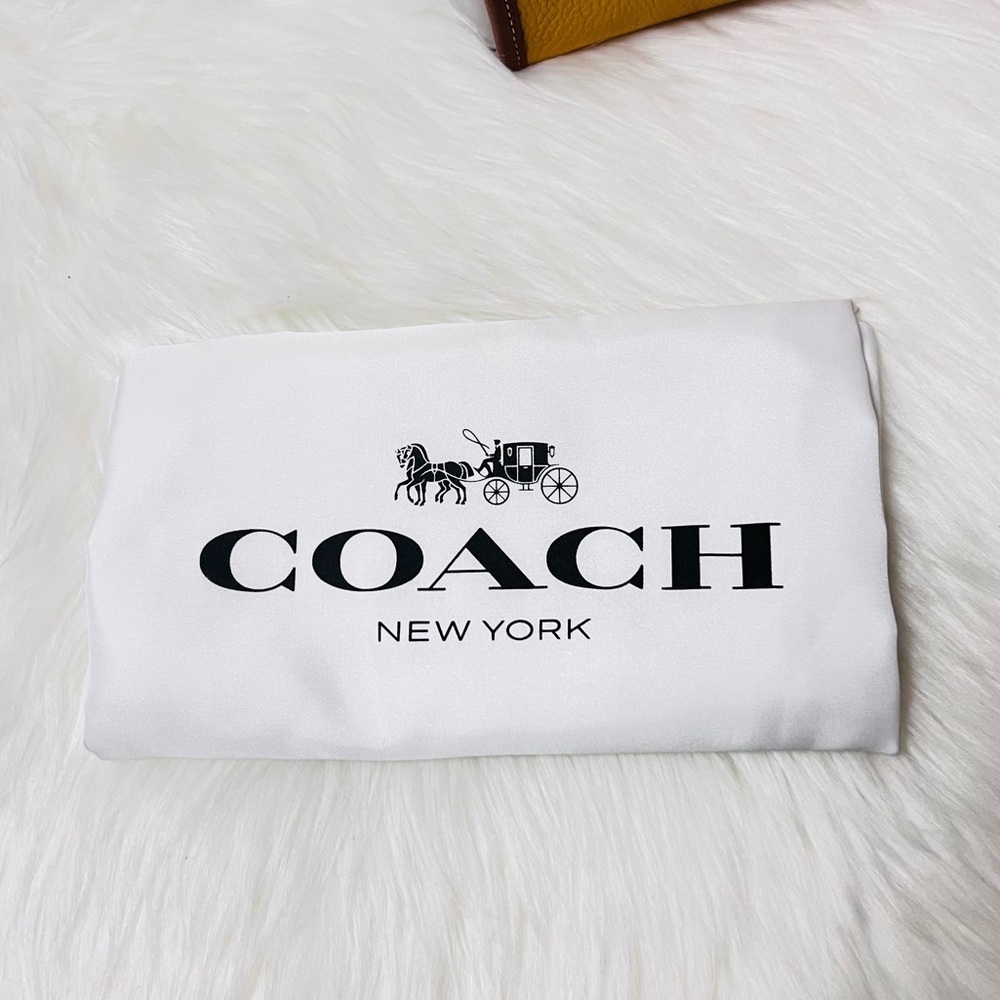 Disney x COACH Walt Disney World Tote Bag - Picture 8 of 11